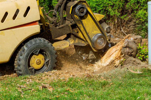 Best Grass Overseeding  in Spencer, IN